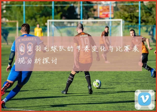 南京羽毛球队的节奏变化与比赛表现分析探讨