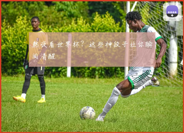 熬夜看世界杯？这些神段子让你瞬间清醒