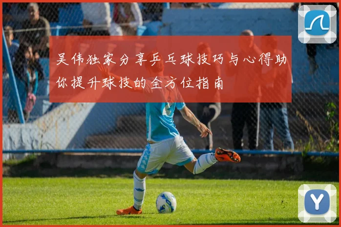 吴伟独家分享乒乓球技巧与心得助你提升球技的全方位指南